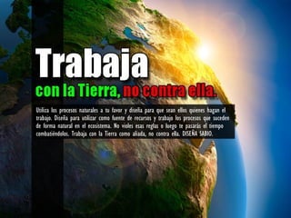 Utiliza los procesos naturales a tu favor y diseña para que sean ellos quienes hagan el
trabajo. Diseña para utilizar como fuente de recursos y trabajo los procesos que suceden
de forma natural en el ecosistema. No violes esas reglas o luego te pasarás el tiempo
combatiéndolos. Trabaja con la Tierra como aliada, no contra ella. DISEÑA SABIO.
 