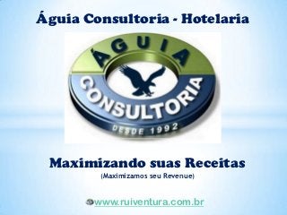 Águia Consultoria - Hotelaria




 Maximizando suas Receitas
        (Maximizamos seu Revenue)


       www.ruiventura.com.br
 