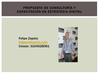 PROPUESTA DE CONSULTORÍA Y
CAPACITACIÓN EN ESTRATEGIA DIGITAL




Felipe Zapata
felipeza@yahoo.com
Celular: 3104528061
 