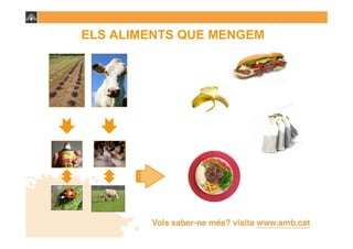 ELS ALIMENTS QUE MENGEM
 