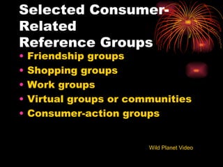 Selected Consumer-Related  Reference Groups Friendship groups Shopping groups Work groups Virtual groups or communities Consumer-action groups Wild Planet Video 