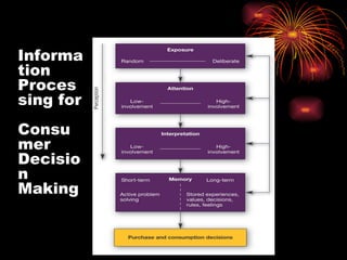Information Processing for  Consumer Decision Making 