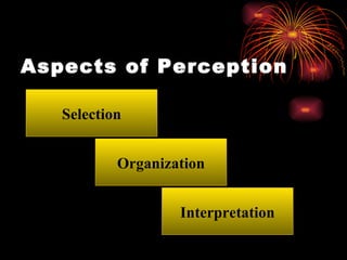 Aspects of Perception Selection Organization Interpretation 