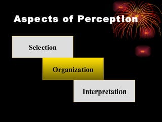 Aspects of Perception Selection Organization Interpretation 