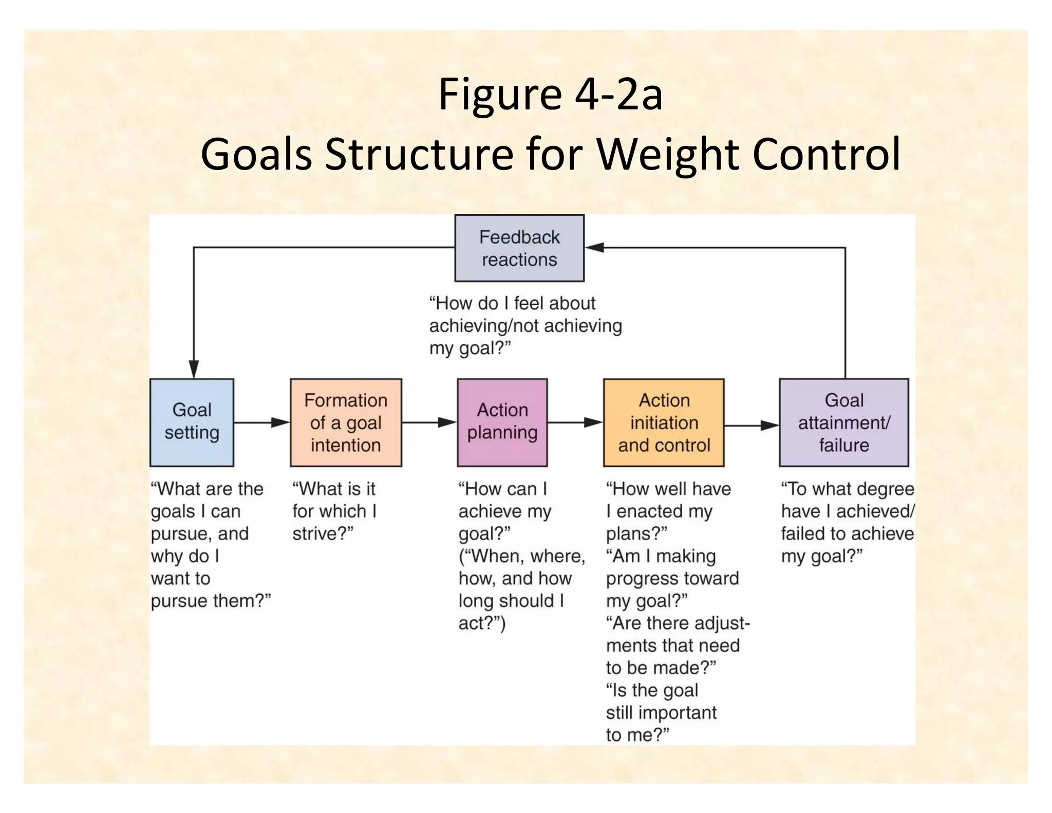Figure 4-2a
Goals Structure for Weight Control
 