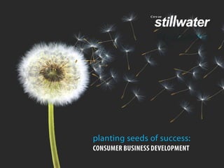 Consumer Business Development (City of Stillwater, Oklahoma)