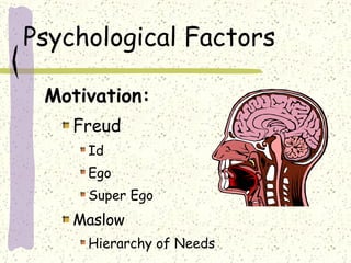 Psychological Factors Motivation: Freud Id Ego Super Ego Maslow Hierarchy of Needs 