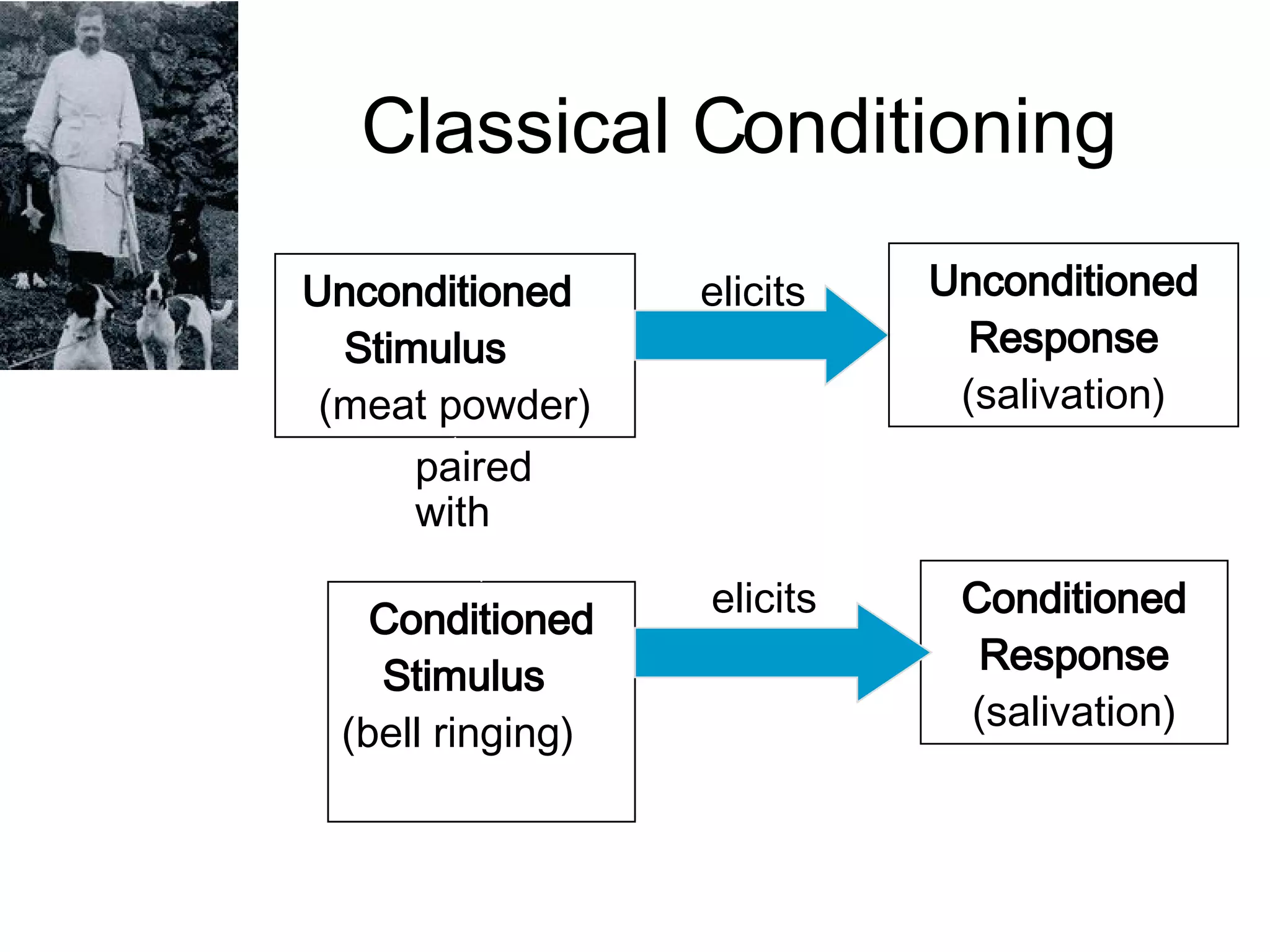 Classical Conditioning Unconditioned  Stimulus   (meat powder) elicits Conditioned Stimulus   (bell ringing)  Conditioned Response  (salivation) Unconditioned Response  (salivation) paired with elicits 