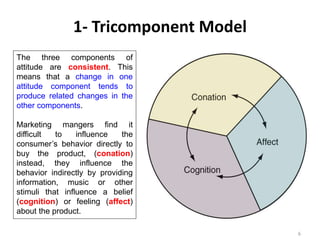 Cognition
6
1- Tricomponent Model
The three components of
attitude are consistent. This
means that a change in one
attitude component tends to
produce related changes in the
other components.
Marketing mangers find it
difficult to influence the
consumer’s behavior directly to
buy the product, (conation)
instead, they influence the
behavior indirectly by providing
information, music or other
stimuli that influence a belief
(cognition) or feeling (affect)
about the product.
 