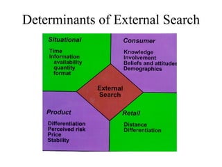 Determinants of External Search 