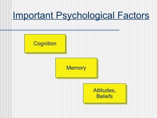 Important Psychological Factors Cognition Attitudes, Beliefs Memory 