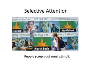 Selective Attention
People screen out most stimuli.
 