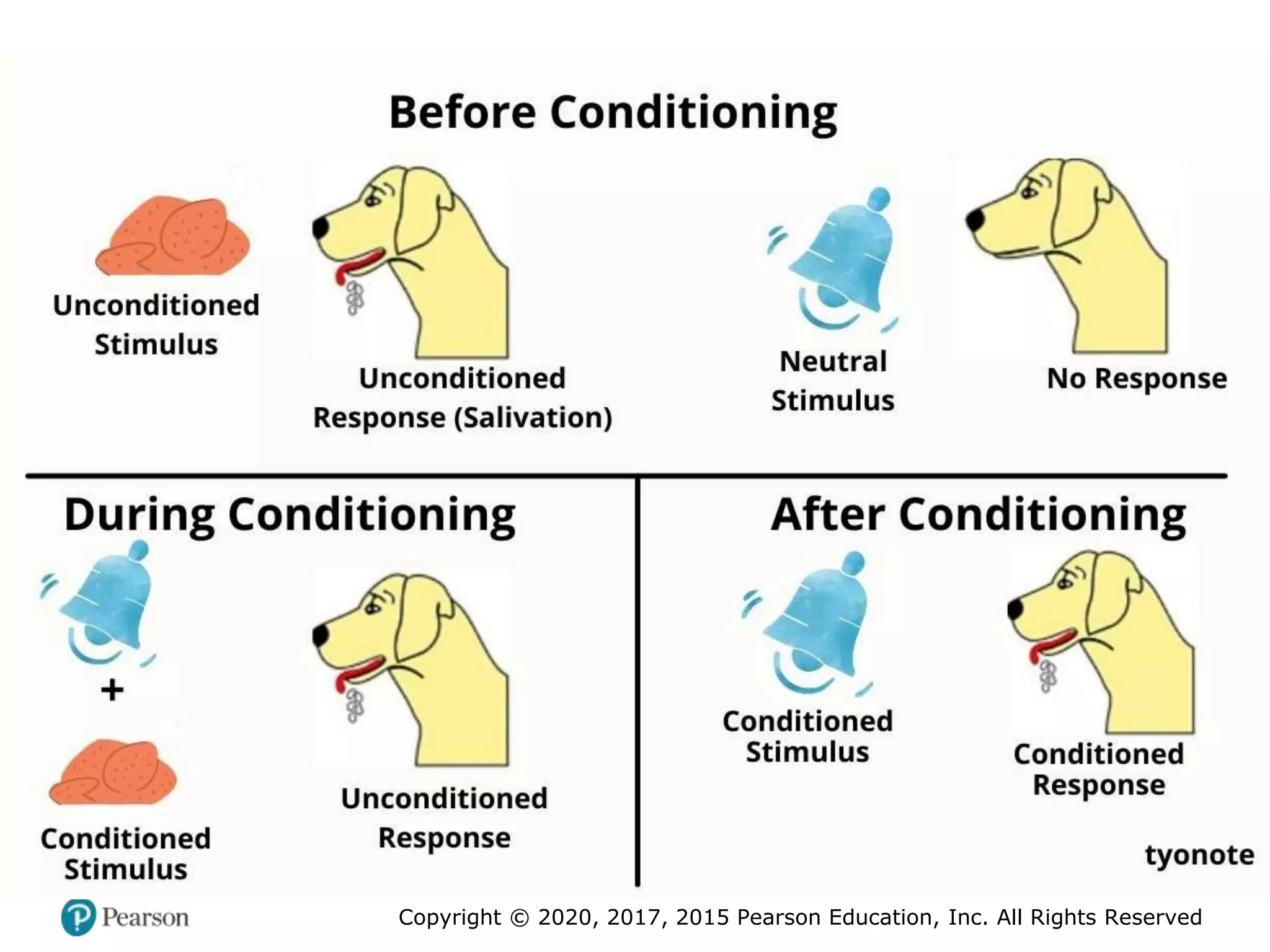 Copyright © 2020, 2017, 2015 Pearson Education, Inc. All Rights Reserved
 