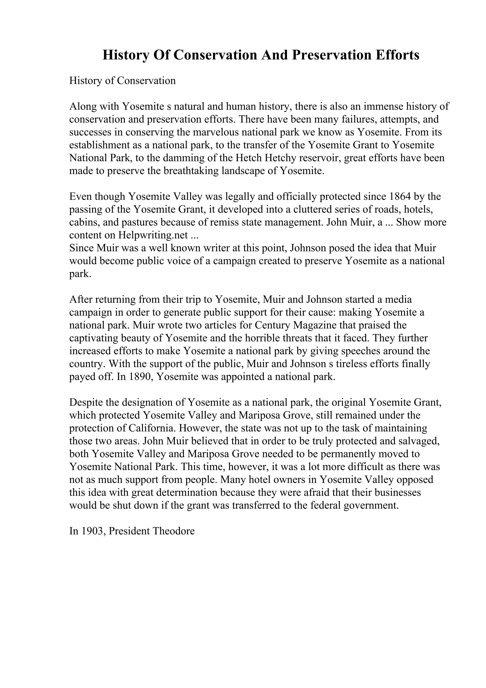 Consumer Behavior Essay Consumer Behavior The Role Of Consumer