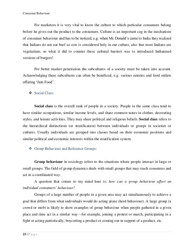career goals essay consumer society