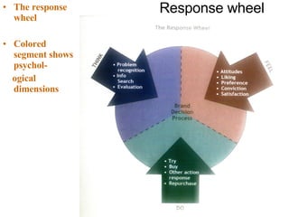 Response wheel The response wheel Colored segment shows psychol- ogical dimensions  