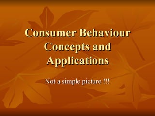 Consumer Behaviour Concepts and Applications Not a simple picture !!! 