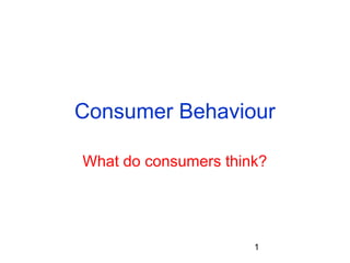 1
Consumer Behaviour
What do consumers think?
 