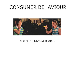CONSUMER BEHAVIOUR




   STUDY OF CONSUMER MIND
 
