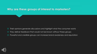 Why are these groups of interest to marketers? 
 Their opinions generate discussions and highlight what the consumer wants 
 They deliver feedback that would not be known without these groups 
 Powerful and credible groups can increase brand awareness and reputation 
 