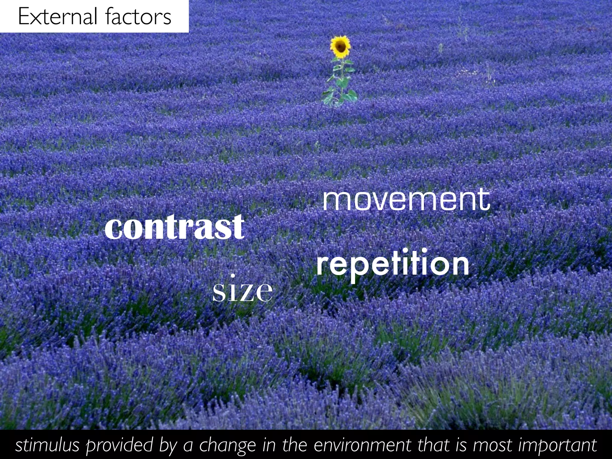 External factors




                                     movement
          contrast
                                    repetition
                       size


stimulus provided by a change in the environment that is most important
 