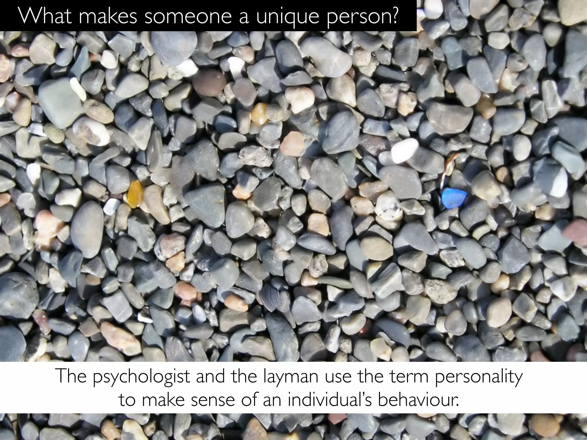 What makes someone a unique person?




   The psychologist and the layman use the term personality
          to make sense of an individual’s behaviour.
 