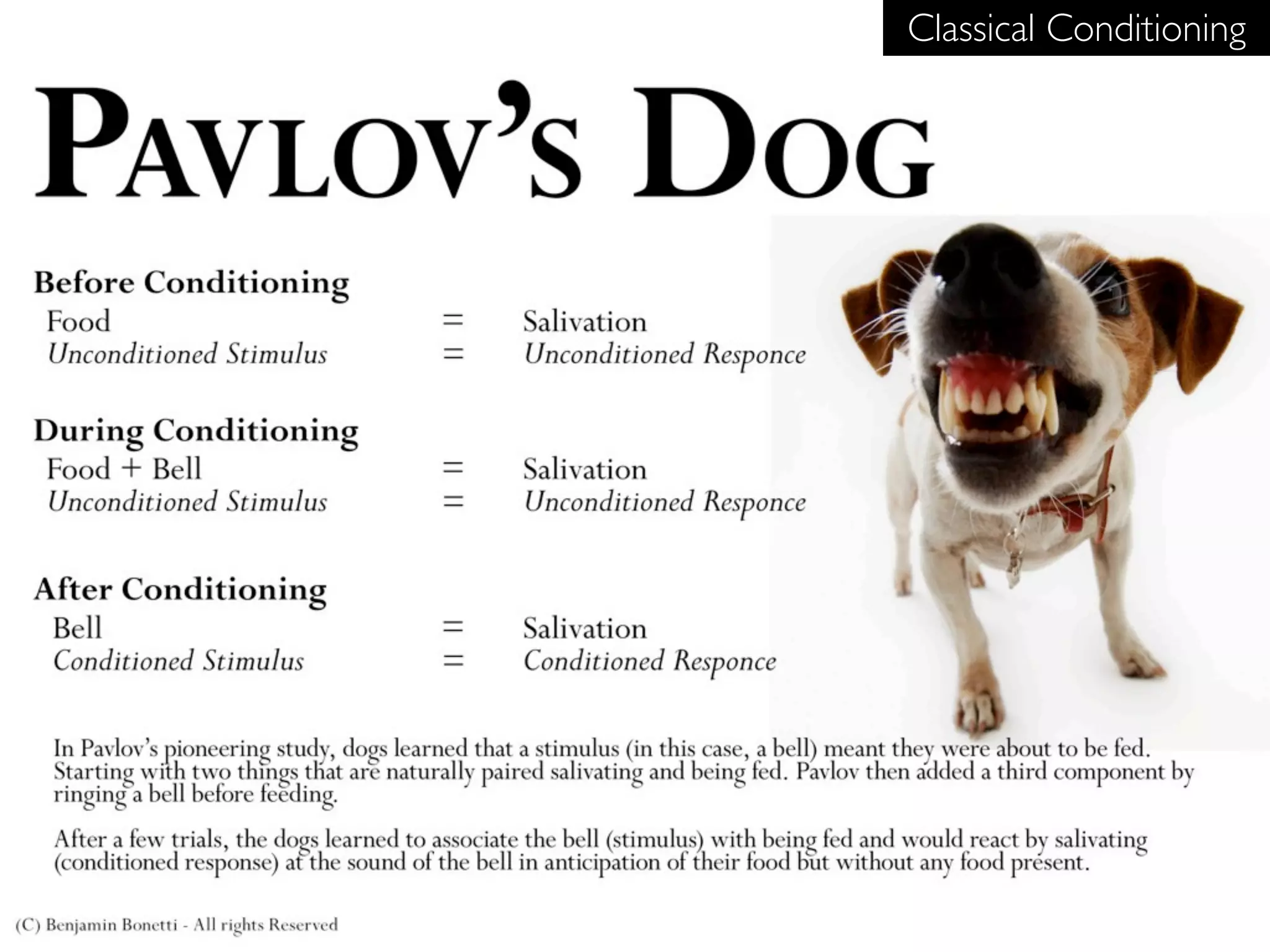 Classical Conditioning
 