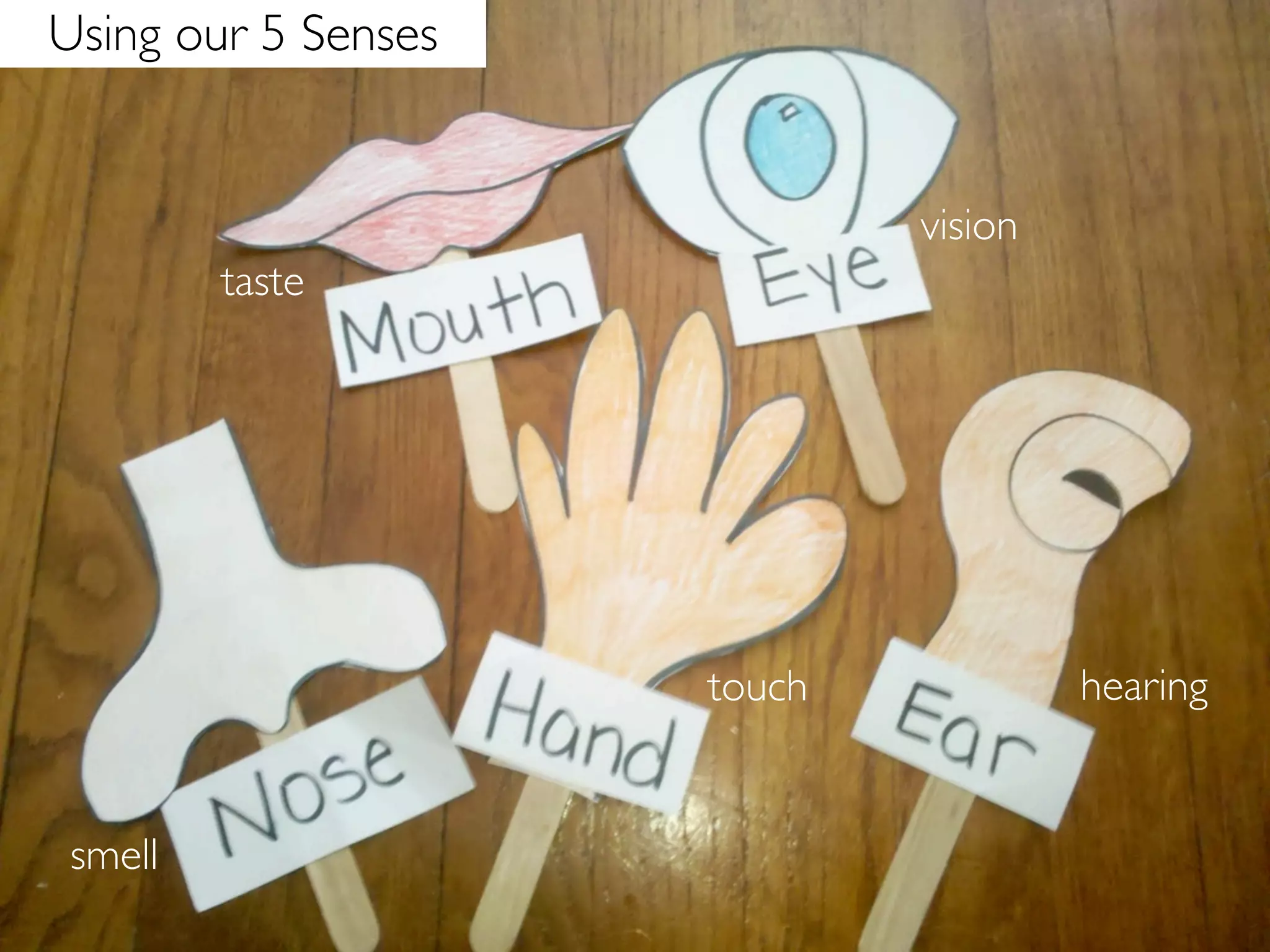 Using our 5 Senses


                             vision
         taste




                     touch            hearing


 smell
 