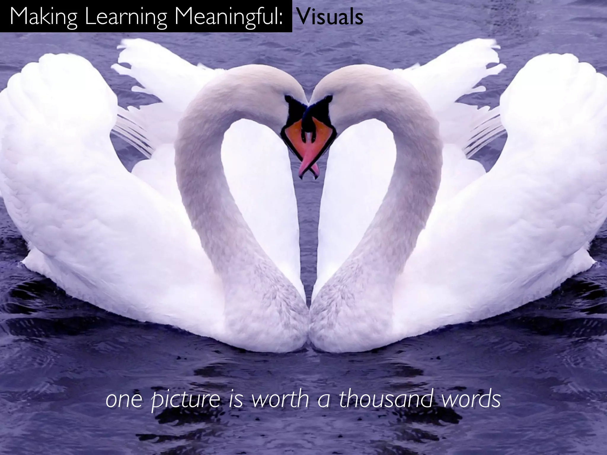 Making Learning Meaningful: Visuals




         one picture is worth a thousand words
 