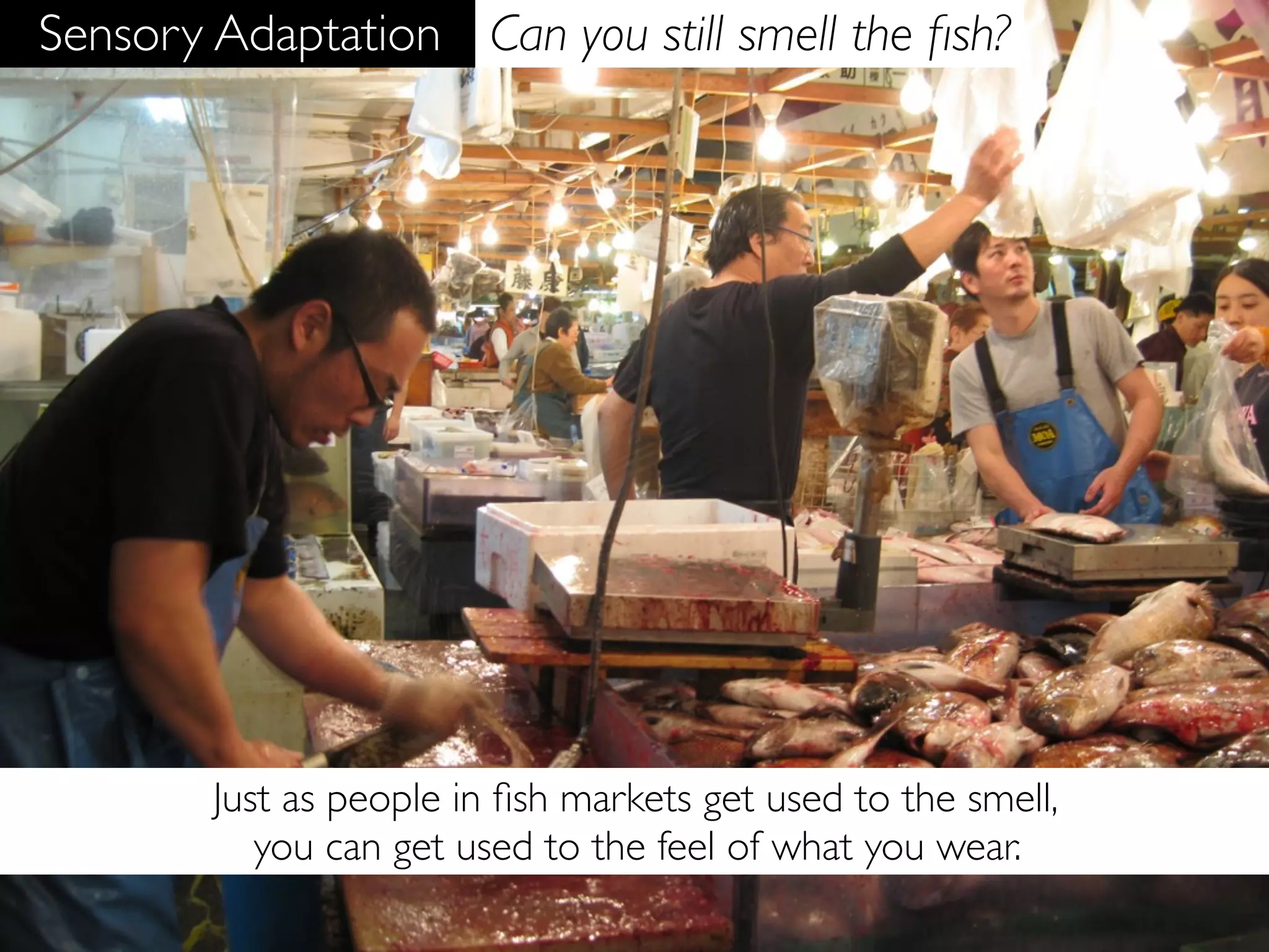 Sensory Adaptation Can you still smell the ﬁsh?




        Just as people in ﬁsh markets get used to the smell,
           you can get used to the feel of what you wear.
 
