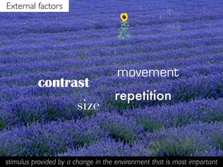 External factors




                                     movement
          contrast
                                    repetition
                       size


stimulus provided by a change in the environment that is most important
 