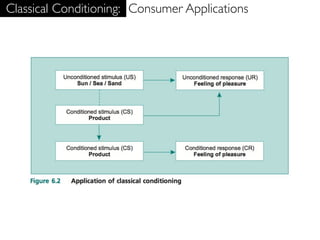 Classical Conditioning: Consumer Applications
 
