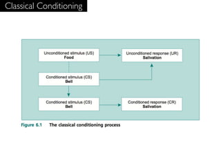 Classical Conditioning
 