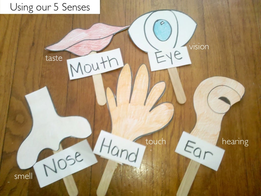 using-our-5-senses-vision