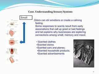 Smelling Perception Perception | PPTX