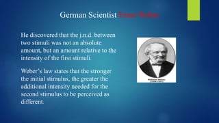 German Scientist Ernst Weber
He discovered that the j.n.d. between
two stimuli was not an absolute
amount, but an amount relative to the
intensity of the first stimuli.
Weber’s law states that the stronger
the initial stimulus, the greater the
additional intensity needed for the
second stimulus to be perceived as
different.
 