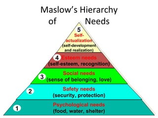Maslow’s Hierarchy of  Needs Psychological needs (food, water, shelter) 1 Safety needs (security, protection) 2 Social needs (sense of belonging, love) 3 Esteem needs (self-esteem, recognition) 4 Self- actualization (self-development and realization) 5 