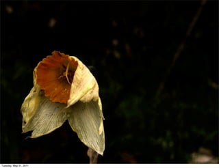 Tuesday, May 31, 2011
 