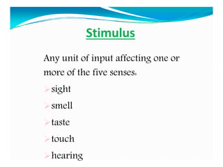 Stimulus
Any unit of input affecting one or
more of the five senses:
sight
smell
taste
touch
hearing
 