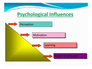 Psychological Influences
Perception
Motivation
Learning
Beliefs & Attitudes
 