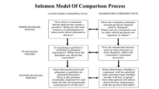 Solomon Model Of Comparison Process
 