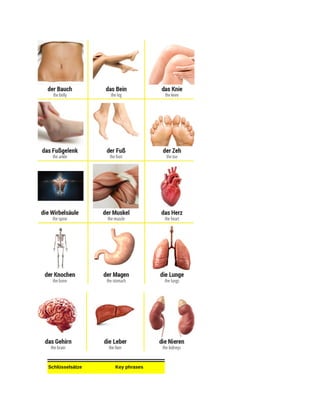 Schlüsselsätze Key phrases
 