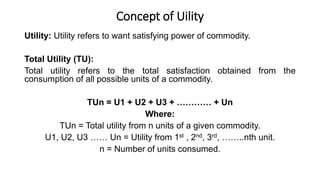 Consumer Equilibrium powerpoint presentation | PDF