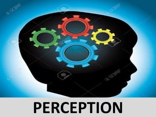PERCEPTION
 