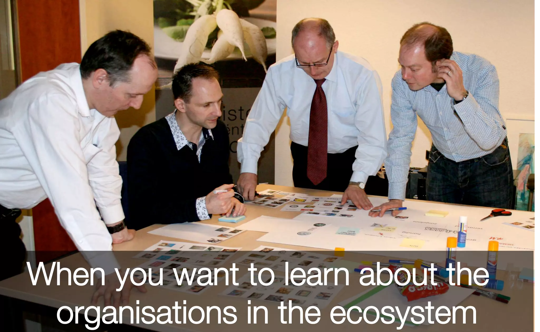 When you want to learn about the
organisations in the ecosystem
 