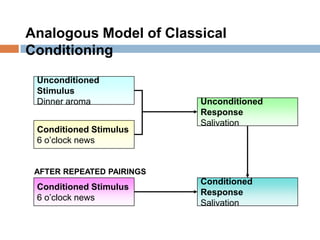 Analogous Model of Classical Conditioning,[object Object],Unconditioned Stimulus,[object Object],Dinner aroma,[object Object],Unconditioned Response,[object Object],Salivation,[object Object],Conditioned Stimulus,[object Object],6 o’clock news,[object Object],AFTER REPEATED PAIRINGS,[object Object],Conditioned Stimulus,[object Object],6 o’clock news,[object Object],Conditioned Response,[object Object],Salivation,[object Object]