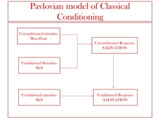Pavlovian model of Classical
Conditioning
Unconditioned stimulusMeat Paste
Unconditioned Response
SALIVATION

Conditioned StimulusBell

Conditioned stimulusBell

Conditioned Response
SALIVATION

 