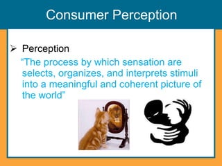 Consumer Perception Perception “ The process by which sensation are selects, organizes, and interprets stimuli into a meaningful and coherent picture of the world” 