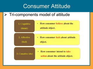 Consumer Behavior & Online Marketing