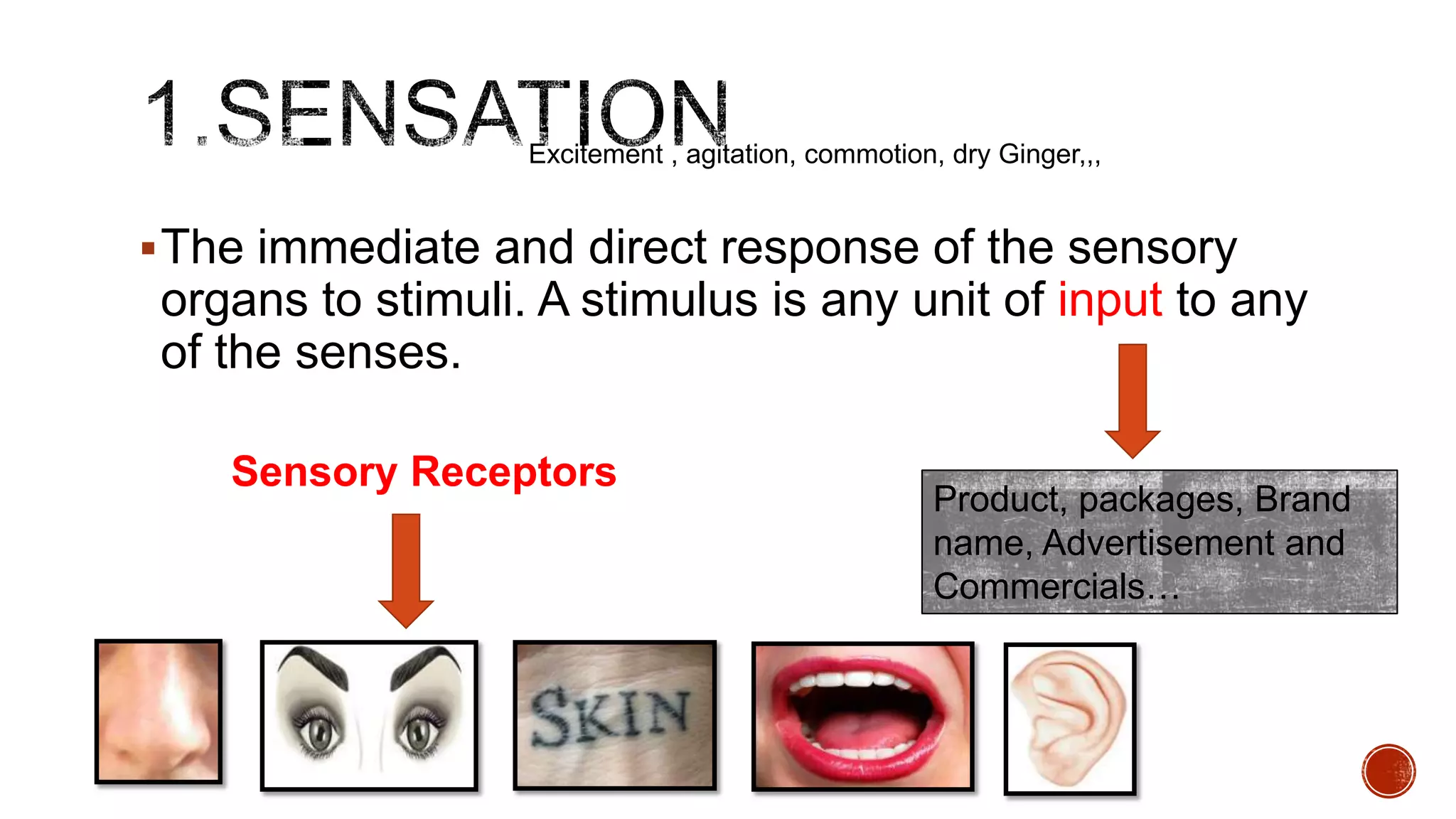 The immediate and direct response of the sensory
organs to stimuli. A stimulus is any unit of input to any
of the senses.
Excitement , agitation, commotion, dry Ginger,,,
Product, packages, Brand
name, Advertisement and
Commercials…
Sensory Receptors
 
